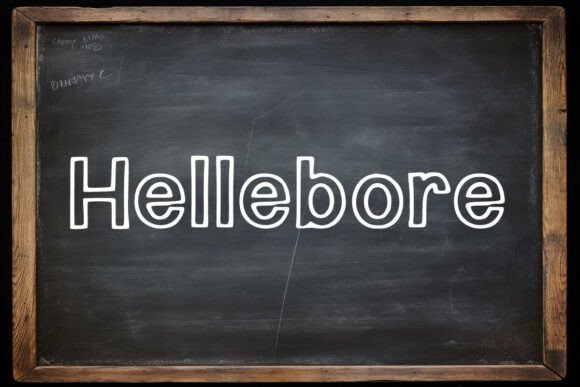 Hellebore: A Thoughtful Display Font for Editorial Calm